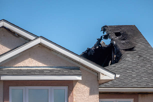 Top rated local Board Up Services specialists in Cokato, MN